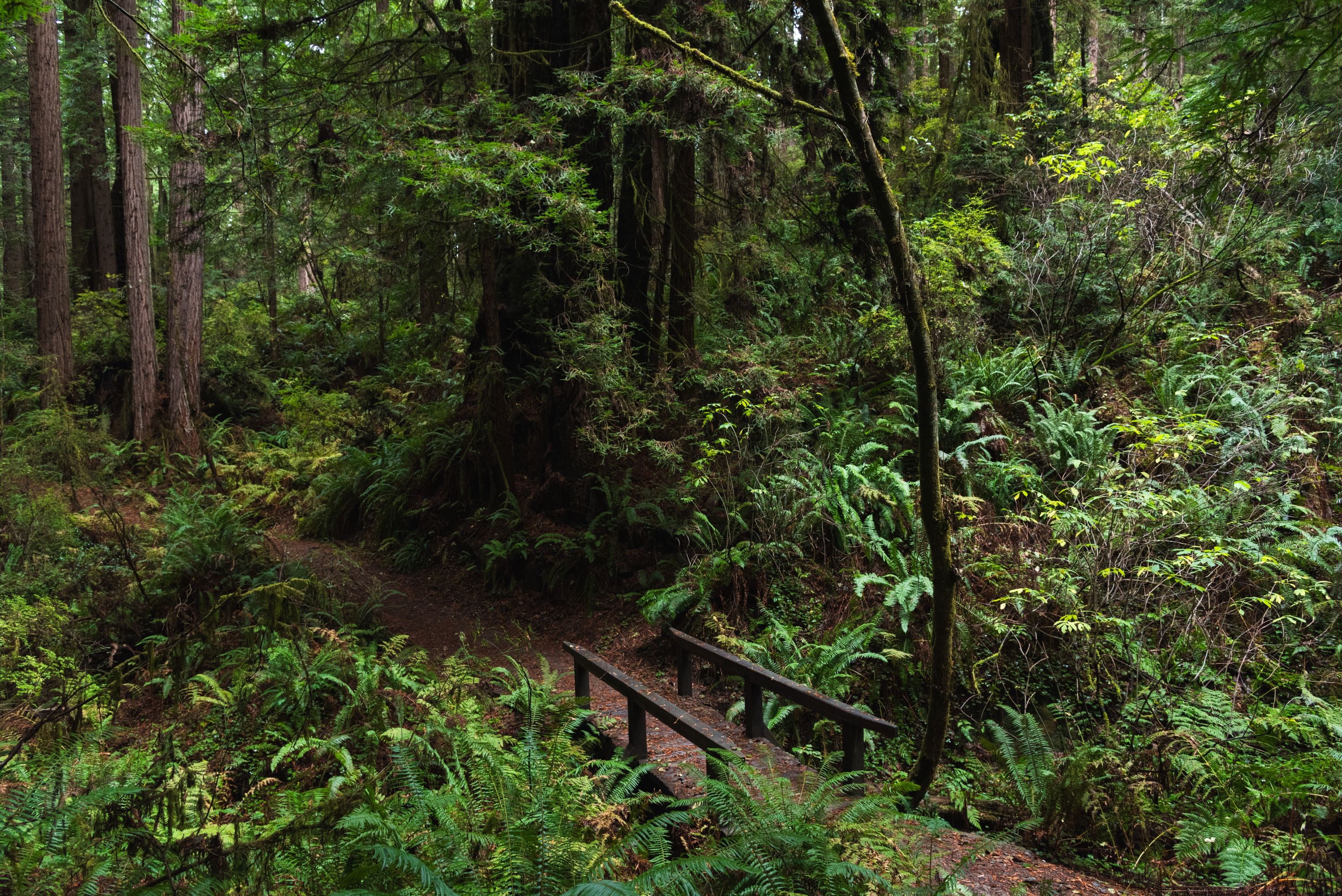 Arcata, CA