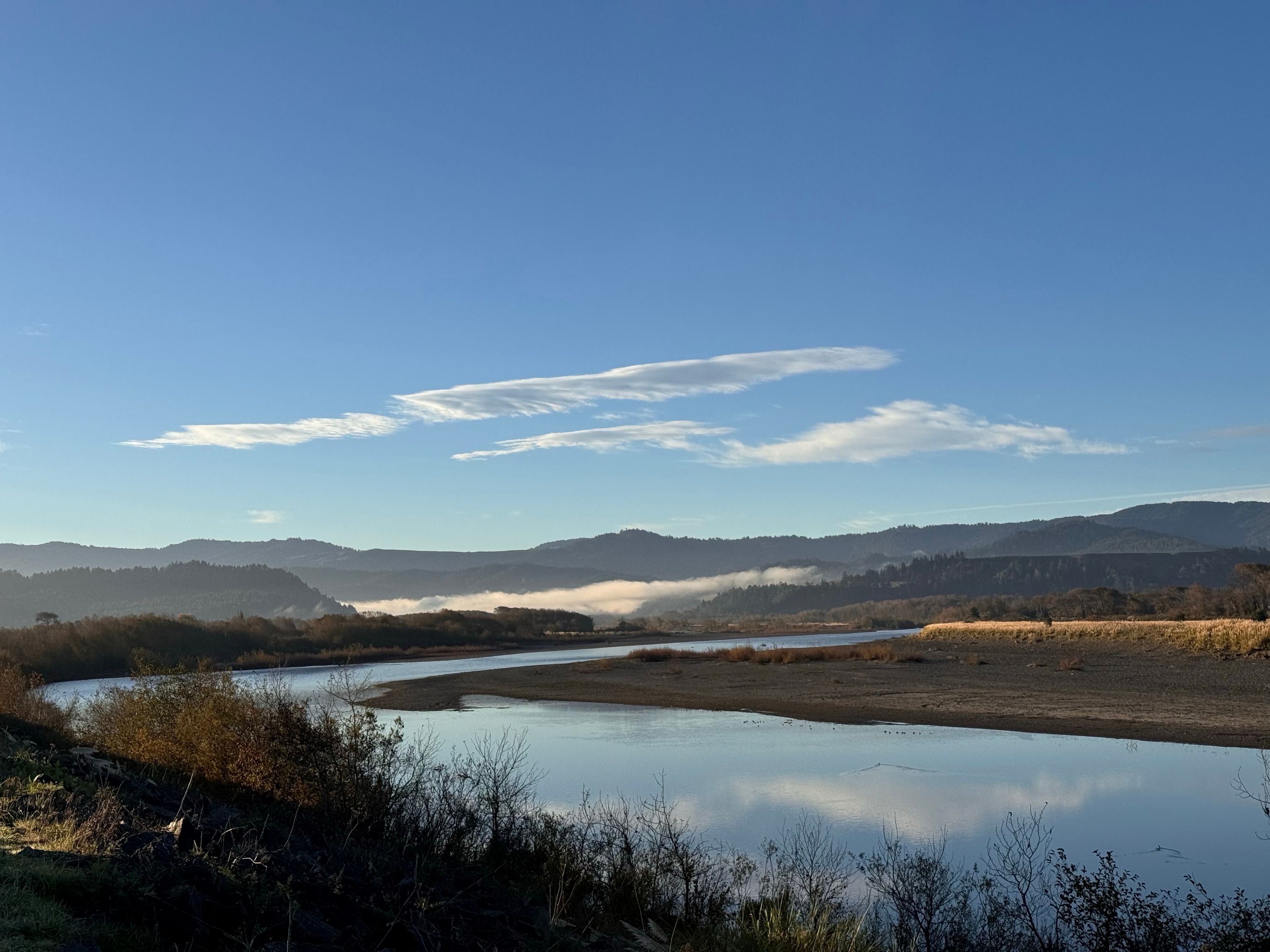 Fortuna CA